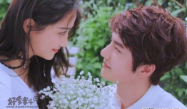 电视剧了,情感纠葛与命运抉择